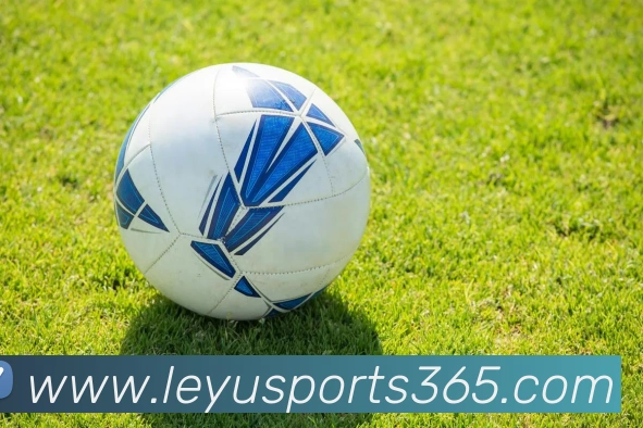 乐鱼体育APP 封面图